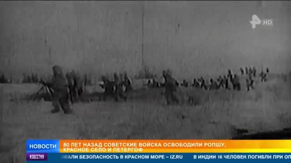 80 лет назад советские войска освободили Ропшу, Красное Село и Петергоф