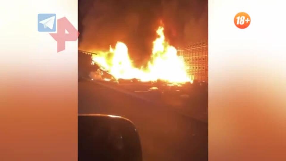 Грузовик загорелся после столкновения с лосем в Ярославской области