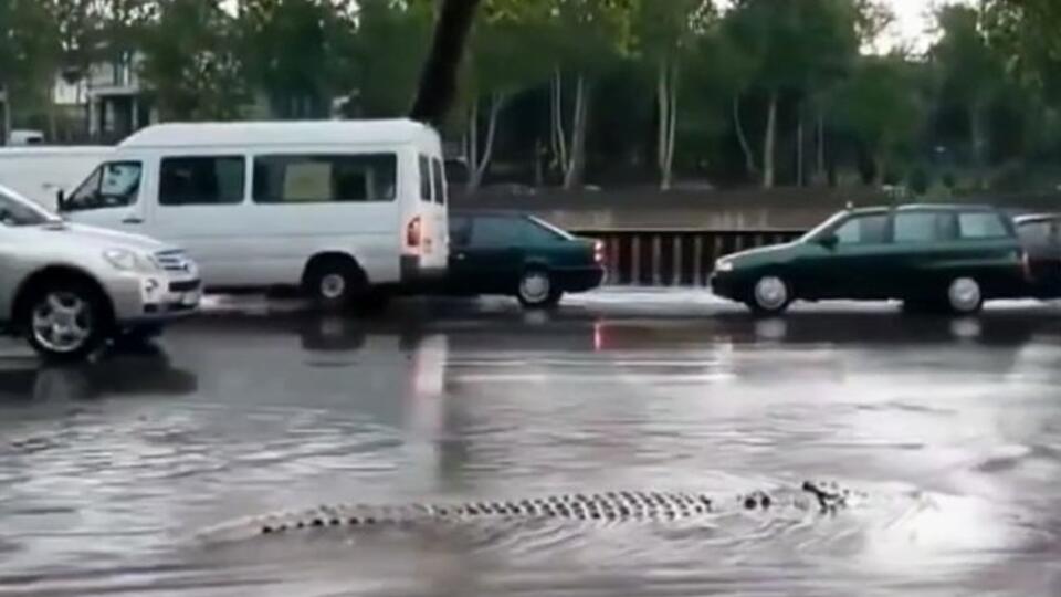 предвидел авиакатастрофу и спас своих друзей название. 5227a45238b7771a494a33f5f5a943f80de0085f. предвидел авиакатастрофу и спас своих друзей название фото. предвидел авиакатастрофу и спас своих друзей название-5227a45238b7771a494a33f5f5a943f80de0085f. картинка предвидел авиакатастрофу и спас своих друзей название. картинка 5227a45238b7771a494a33f5f5a943f80de0085f.