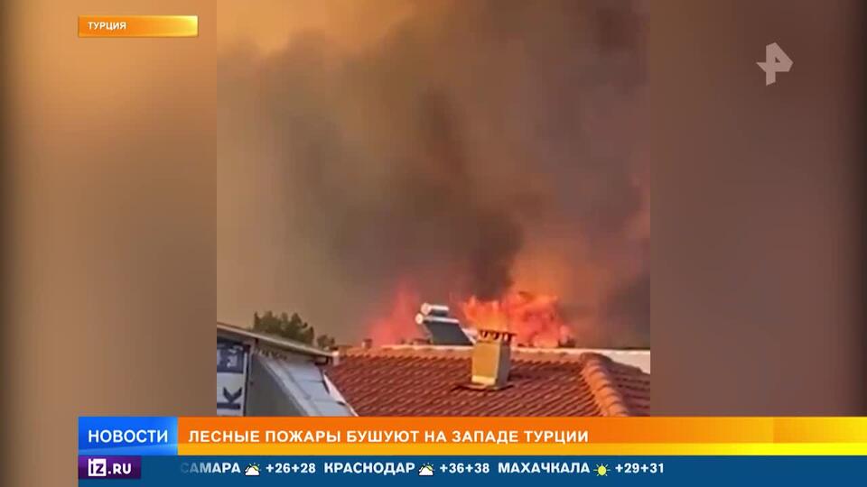 Лесные пожары вплотную подошли к жилым домам в Турции