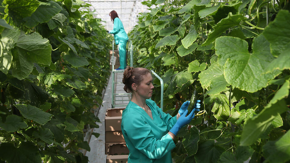 Рост цен на польскую продукцию. Фото: © ИЗВЕСТИЯ/Алексей Майшев
