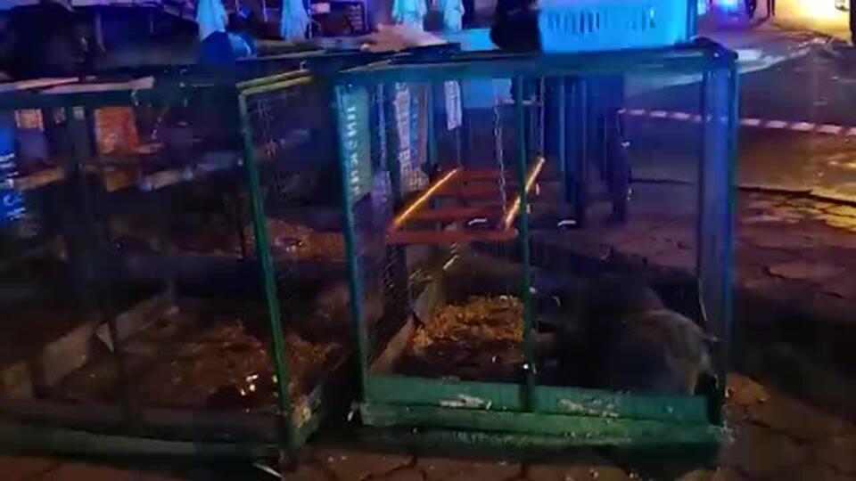 Зоопарк эвакуировали из загоревшегося ТЦ в Уфе