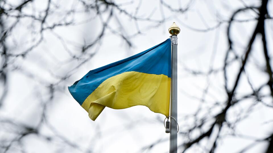 В партии Слуга народа заявили, что современной Украине нужна диктатура
