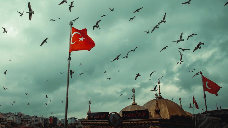 Власти Турции приостановили выдачу ВНЖ для иностранцев в Стамбуле