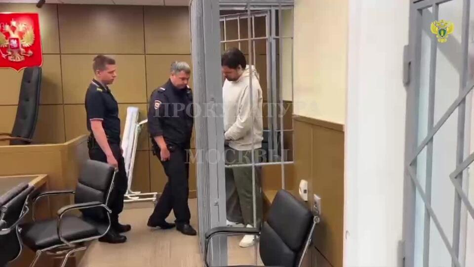Арестован грабитель, пытавшийся отрезать нос девушке в центре Москвы