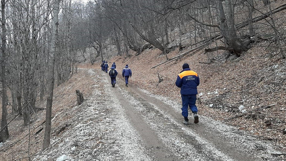 В МЧС рассказали о поисках 14 человек в горах в Чечне