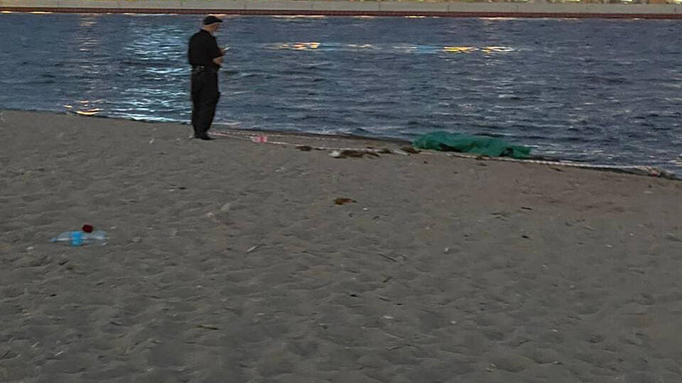 Тело человека обнаружили у берега в парке в Петербурге