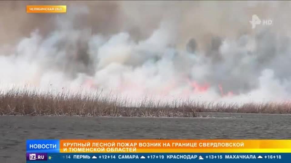 Крупный лесной пожар в Тюменской области
