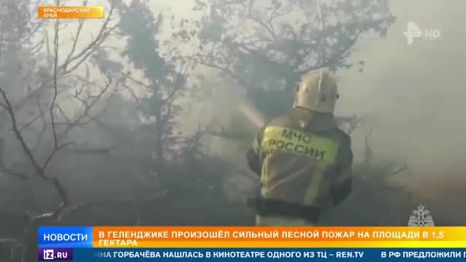 Сильнейший природный пожар тушат в Геленджике