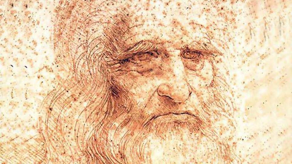 Ученые решили загадку сердца, которую не разгадал Леонардо да Винчи