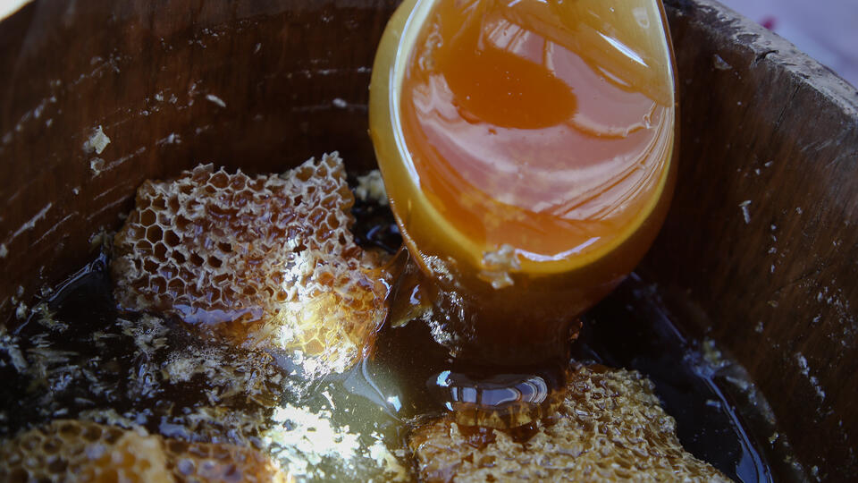 Российские ученые научились выявлять токсичный покупной мед