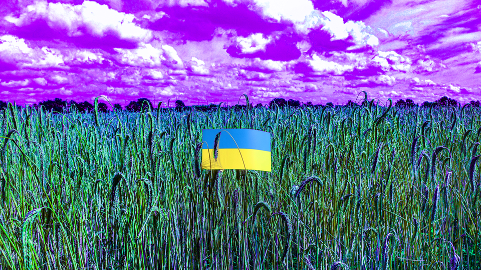 Передозировка для Украины: Запад создает страну-плантацию