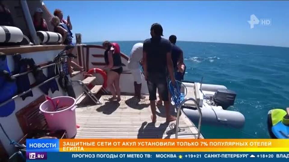Как в Египте решили обезопасить туристов от акул после трагедии с россиянином