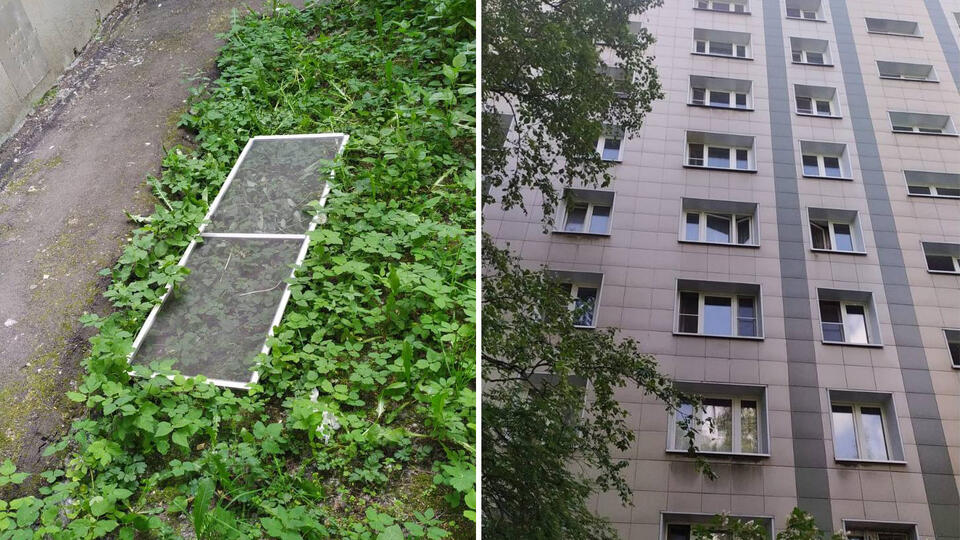 Девочка в Москве оперлась на москитную сетку и выпала с девятого этажа