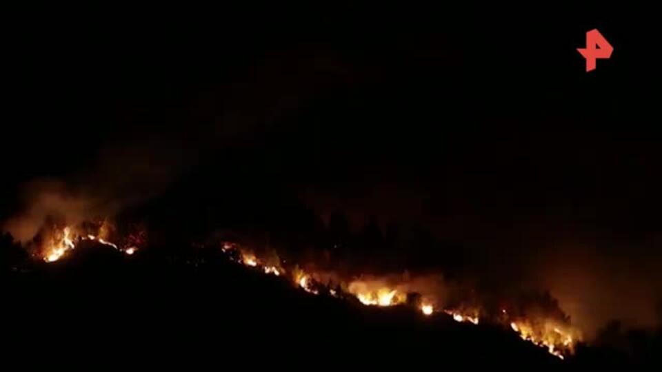 Почти 60 лесных пожаров произошло на западе Греции за последние сутки