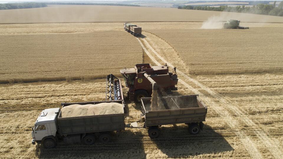 Путин и лидеры стран Африки выступили за снятие санкций на зерно из РФ