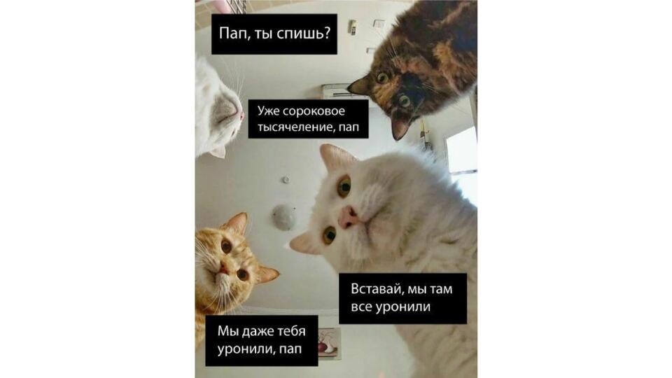 "Наташ, мы там все уронили": как один мем стал символом всех проблем. Фото: © 