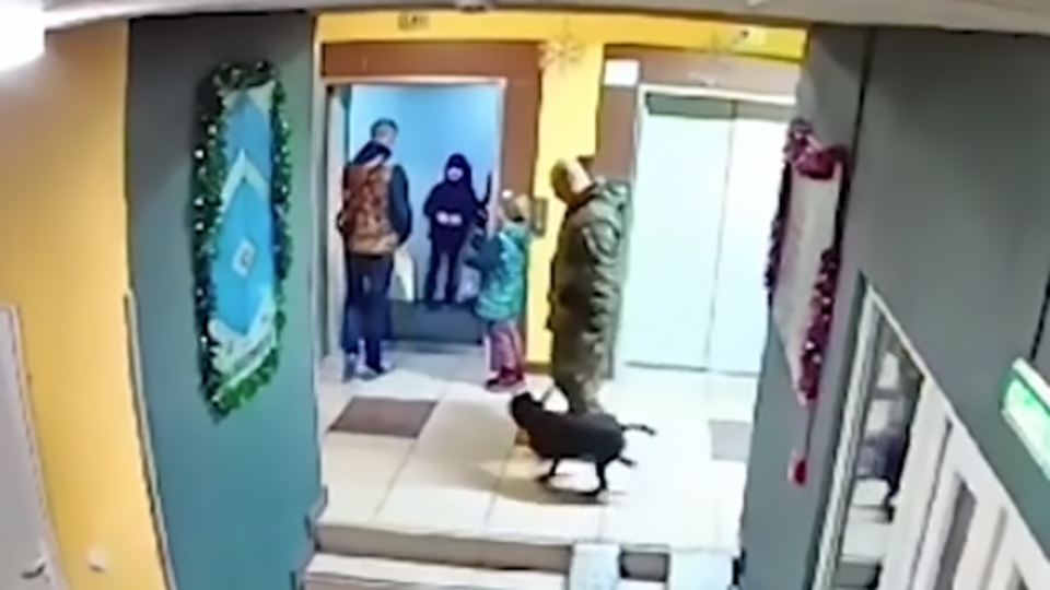 Агрессивный пес кидается и на других соседей&nbsp;. Фото: © Скриншот видео
