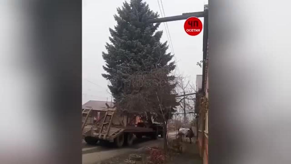 Во Владикавказе сломали подаренную осетинцем новогоднюю ель