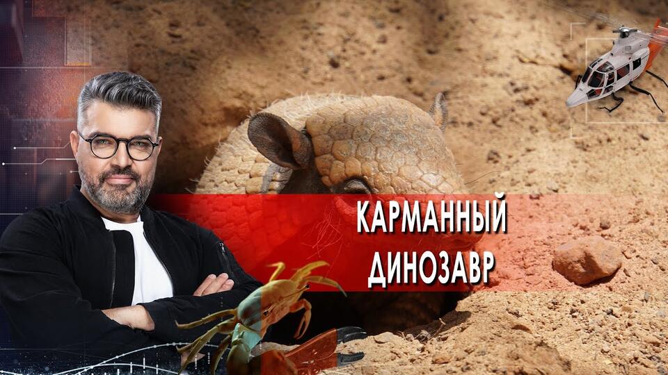 Карманный динозавр Знаете ли вы, что (31.08.2021).