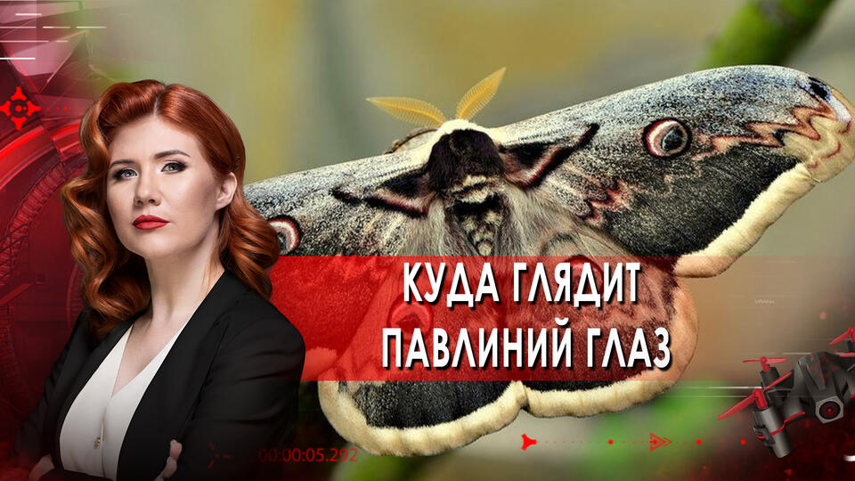Куда глядит павлиний глаз Тайны Чапман. (01.07.2021).