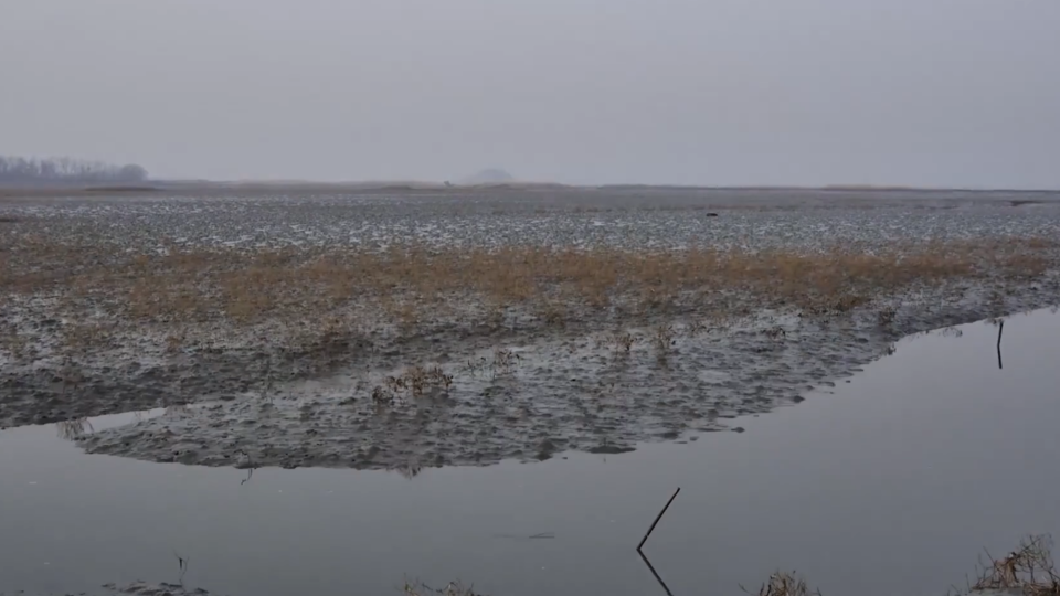 Мог ли Моисей на самом деле пересечь Красное море . Фото: © скриншот видео
