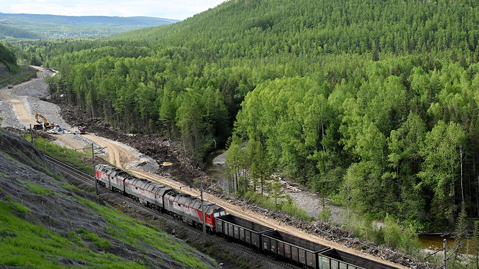 Госдума разрешила вырубки леса у Байкала ради стройки БАМа