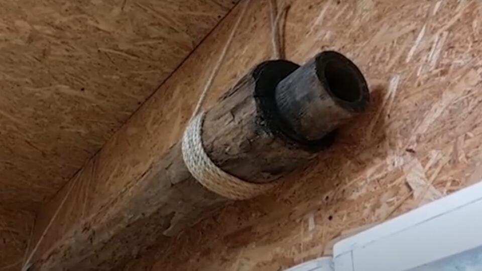 Первые в истории трубы для воды и газа делали из бамбука. Фото: © Кадр из программы "Как устроен мир", РЕН ТВ