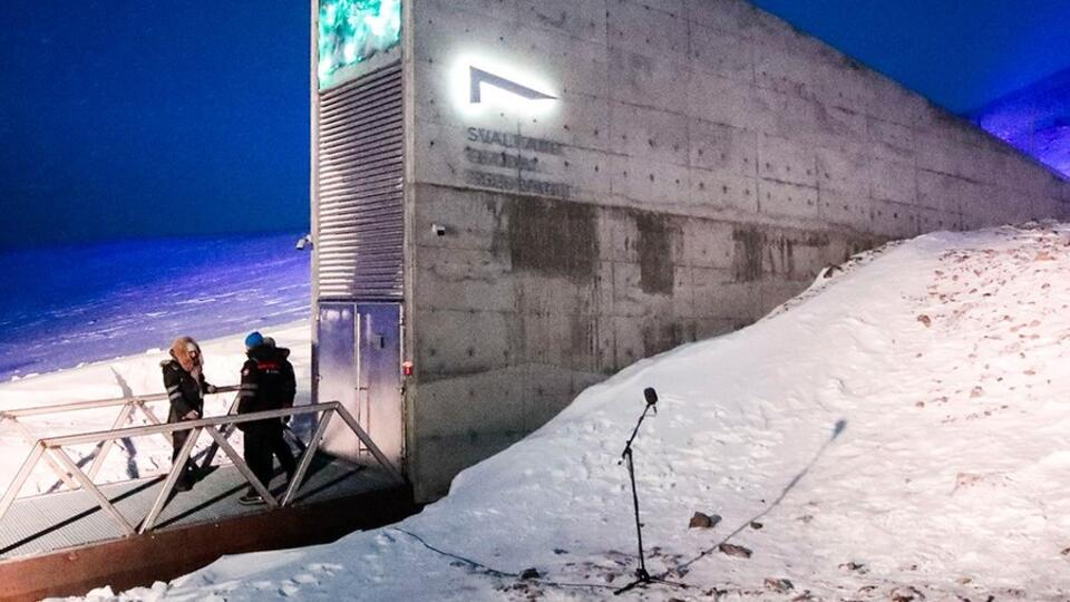 Хранилище для музыки на случай Судного дня построят в Арктике