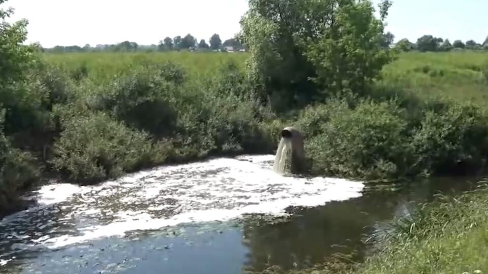 Гибнет все живое: детали скандала с отравлением реки Гжати под Смоленском