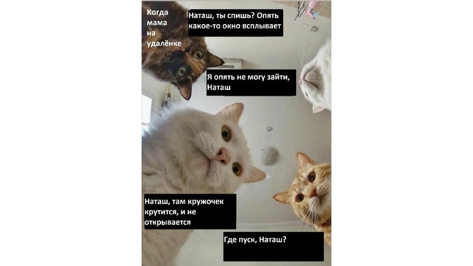 "Наташ, мы там все уронили": как один мем стал символом всех проблем. Фото: © 