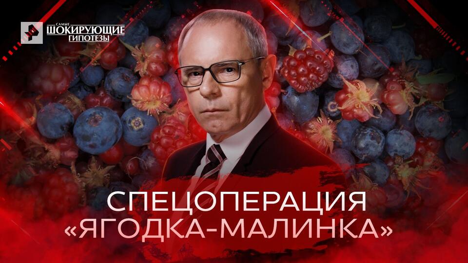 Самые шокирующие гипотезы Спецоперация Ягодка-малинка (23.06.2022)
