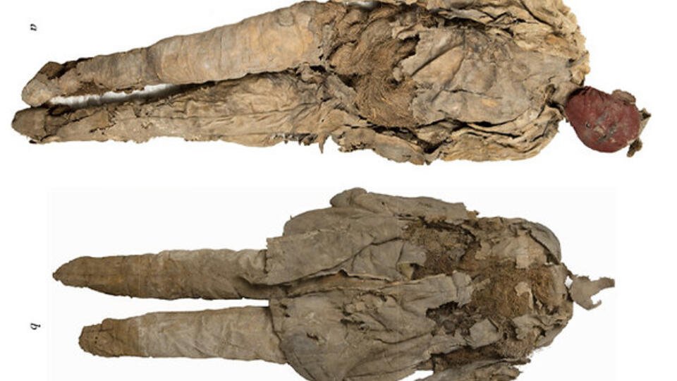 Останки мужчины найдены внутри древней погребальной куклы в Хакасии