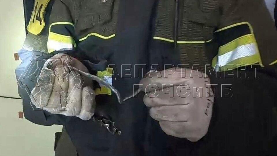 Спасатели поймали змею в жилом доме в Москве