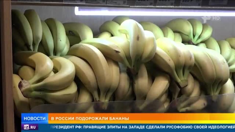 Эксперты объяснили рост цен на бананы