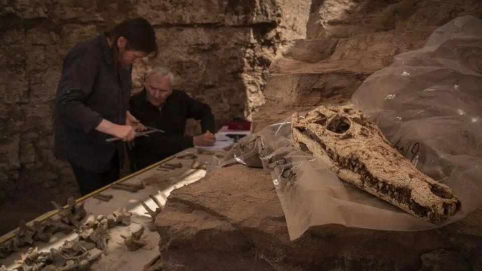 Загадочную гробницу с мумиями крокодилов обнаружили в Египте
