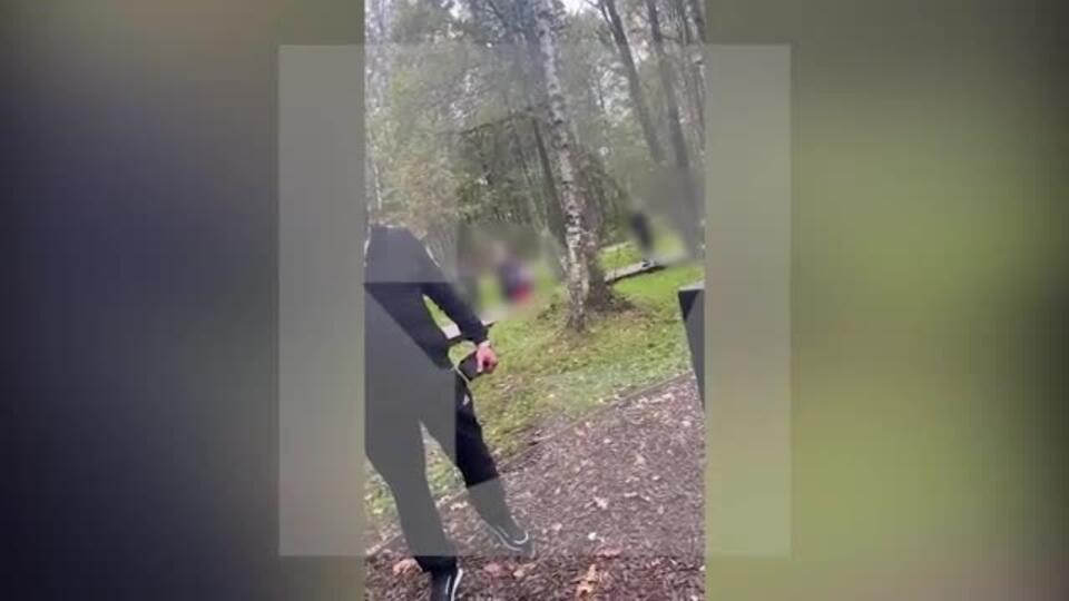 Мужчина открыл стрельбу в московском парке