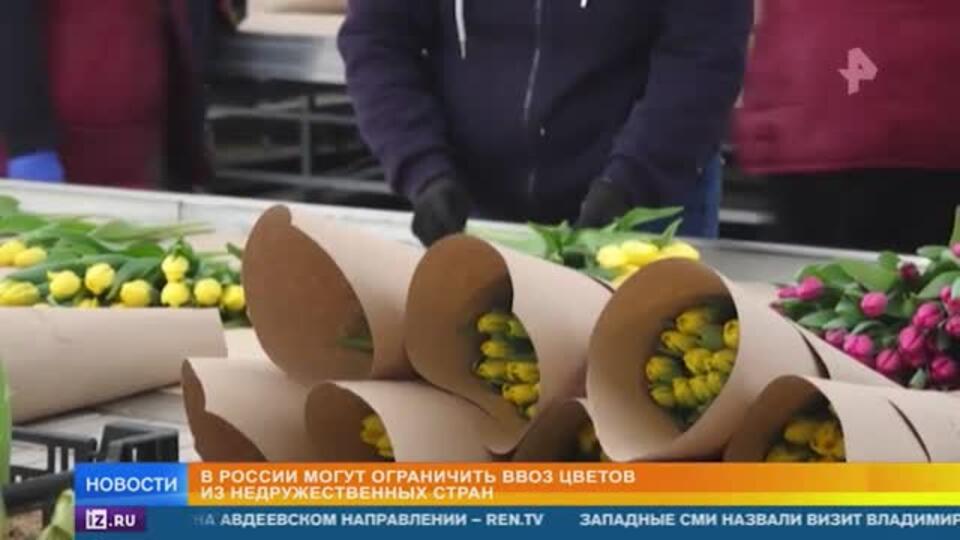 Ввоз цветов из недружественных стран в Россию могут ограничить