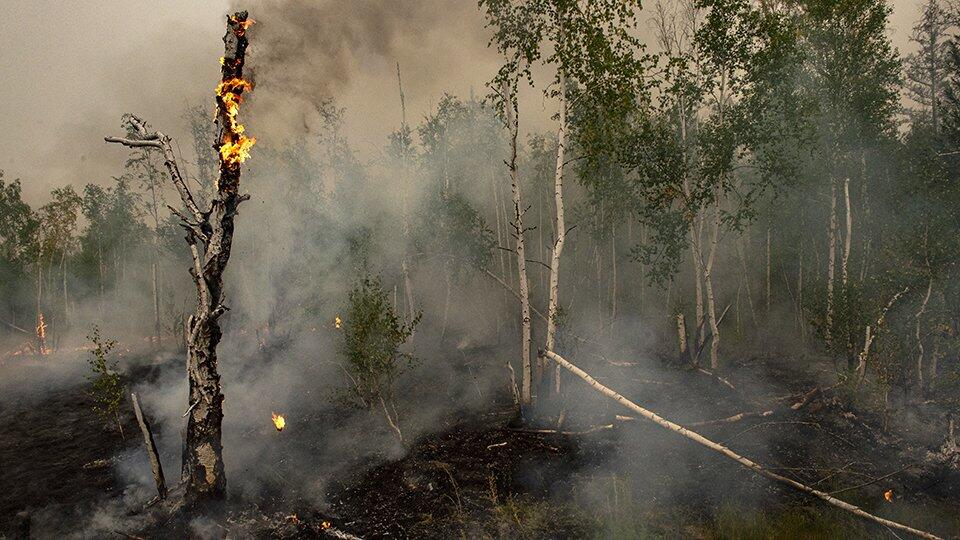 Площадь лесных пожаров в Якутии за сутки увеличилась на 653 гектара