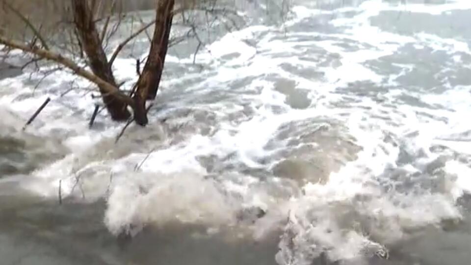 Уровень воды в реке Тобол под Курганом растет с огромной скоростью