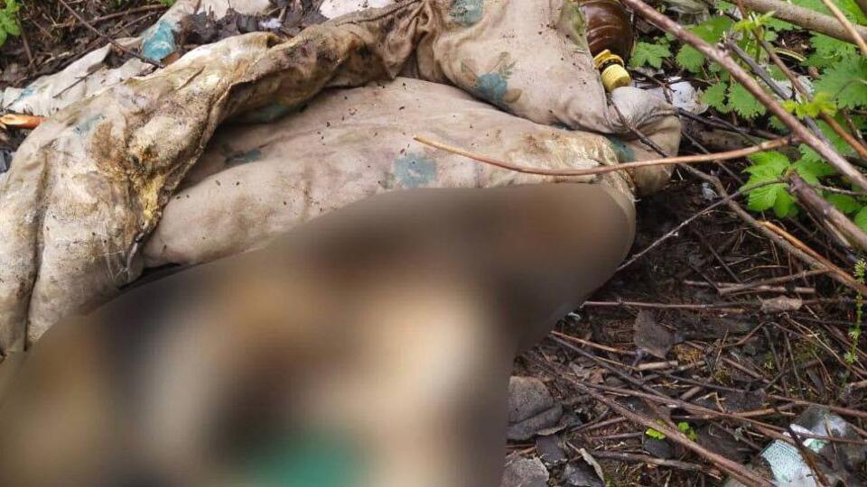 Человеческие кости нашли в лесу в Новой Москве