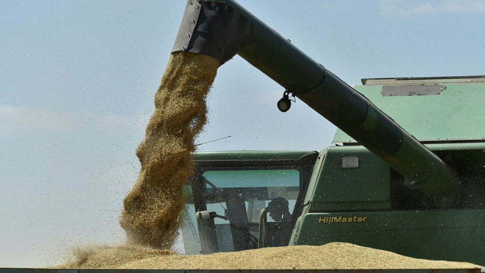 РФ готова до конца года поставить на экспорт около 30 млн тонн зерна