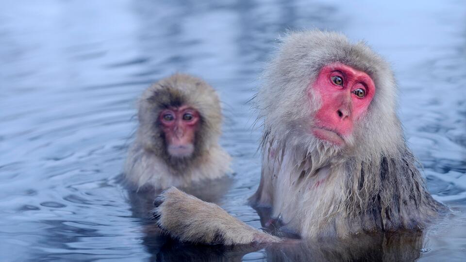 Уникальные природные объекты. Фото: © www.globallookpress.com/Stefan Huwiler/imageBROKER.com