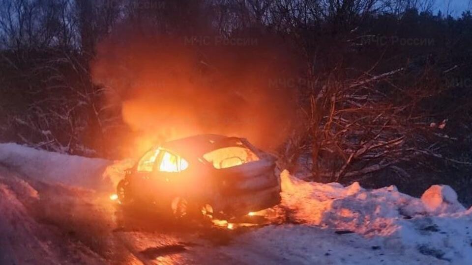 Отец и сын сгорели заживо в новом BMW в Калужской области