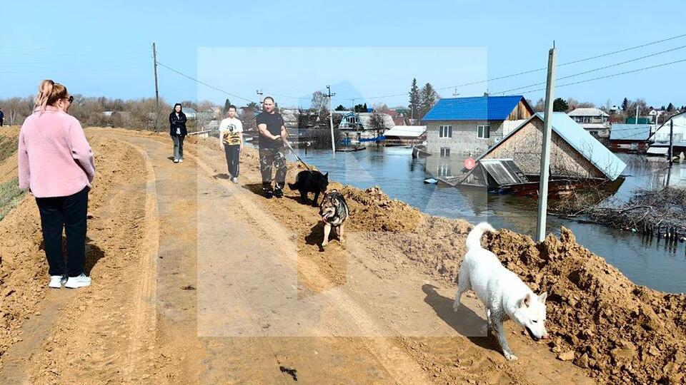 Губернатор Шумков: в Кургане наблюдается пик паводка