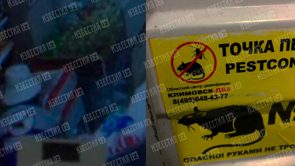 Магнит арбузы что случилось. Смотреть фото Магнит арбузы что случилось. Смотреть картинку Магнит арбузы что случилось. Картинка про Магнит арбузы что случилось. Фото Магнит арбузы что случилось