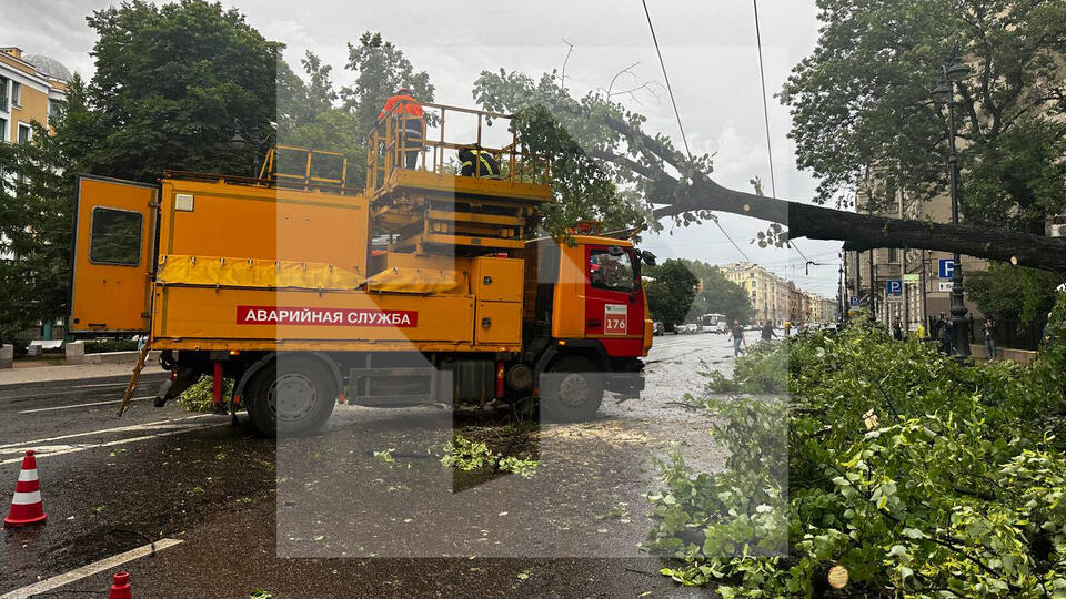 Рядом плакал муж: ураган унес жизни женщины и ребенка в Петербурге