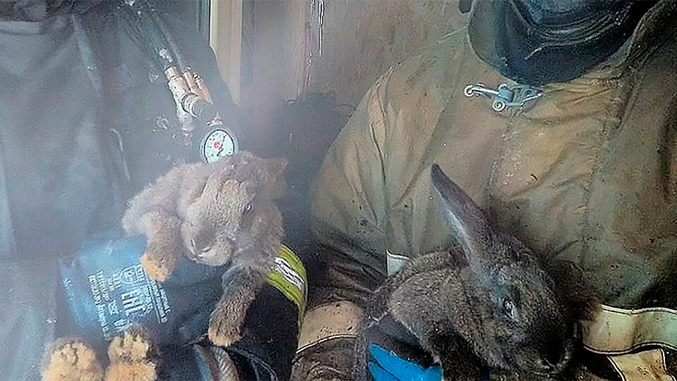 Пожарные спасли кроликов из охваченного огнем дома в Тобольске