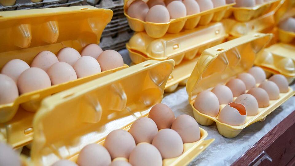 Минсельхоз прорабатывает обнуление импортных пошлин на яйца и мясо кур