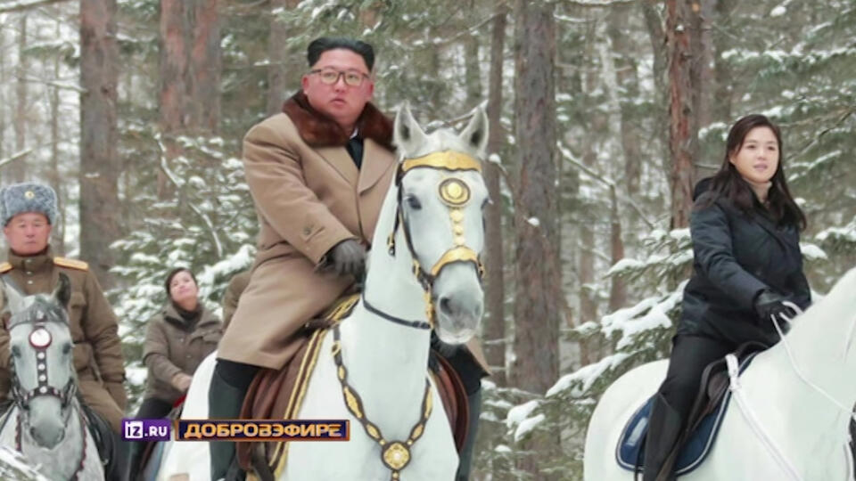 Рысак вождя: Белый конь Ким Чен Ына оказался родом из России